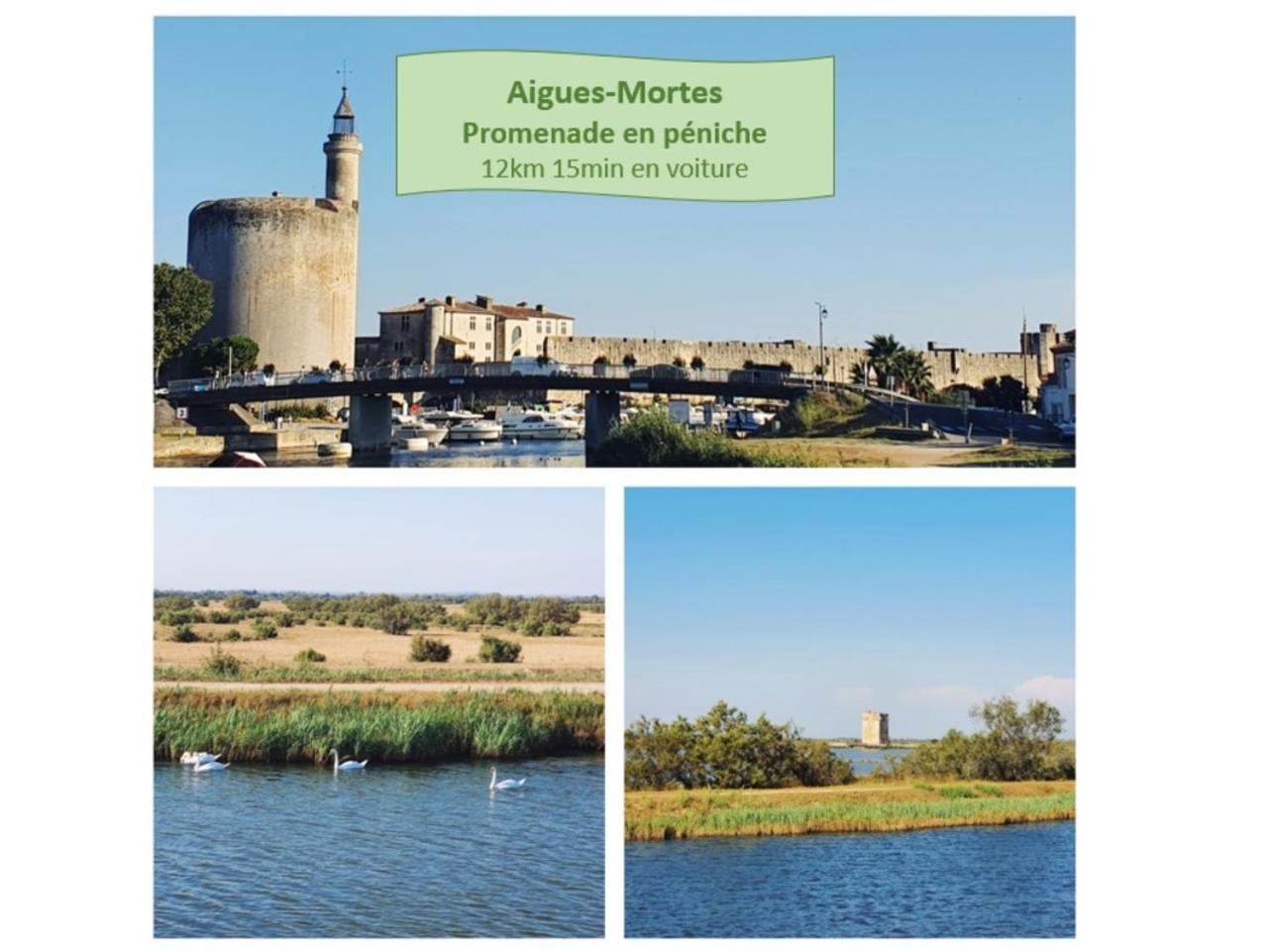 T2 West City Parking Clim Wifi 4Pers - Rossiconciergerie - Linge Inclus La Grande Motte Dış mekan fotoğraf