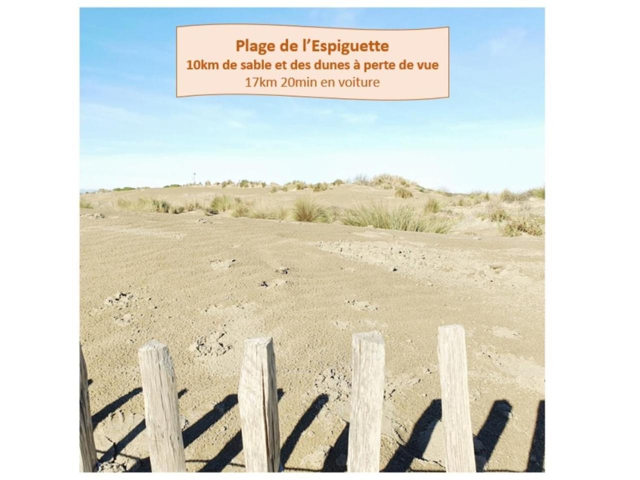 T2 West City Parking Clim Wifi 4Pers - Rossiconciergerie - Linge Inclus La Grande Motte Dış mekan fotoğraf